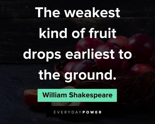 fruit quotes on the weakest kind of fruit drops earliest to the ground