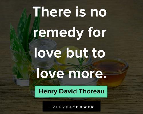 marriage quotes about there is no remedy for love