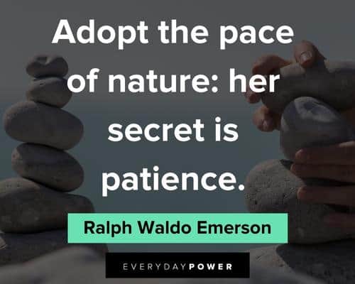 patience quotes on secret is patience