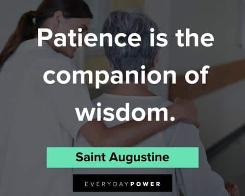 patience quotes about patience is the companion of wisdom