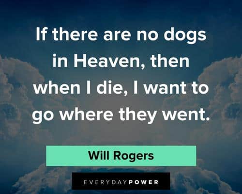 pet loss quotes and saying about heaven