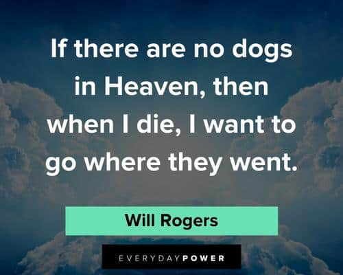 dogs in heaven quotes