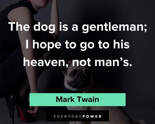 pet loss quotes on gentleman