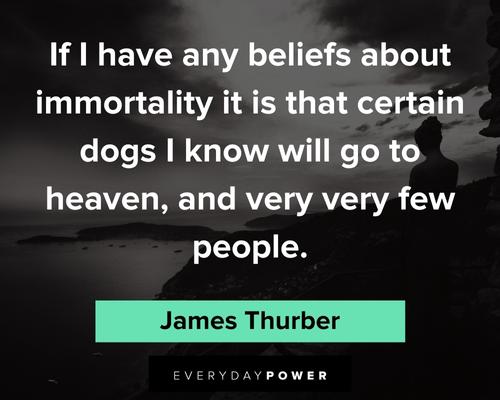 pet loss quotes about immortality