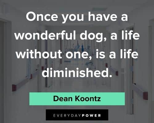 pet loss quotes about wonderful dog