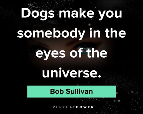 pet loss quotes about the universe