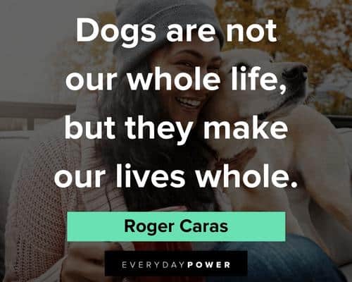 pet loss quotes about Dogs are not our whole life