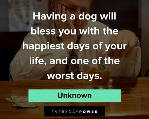 pet loss quotes about having a dog