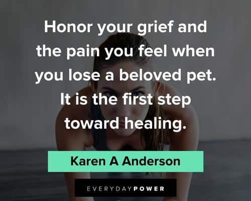 pet loss quotes for when it is time to say goodbye