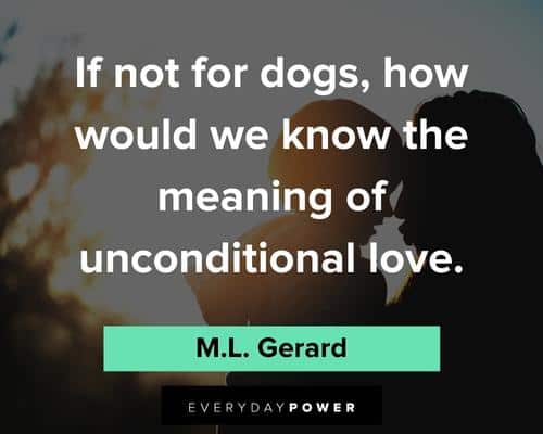 pet loss quotes about the meaning of unconditional love