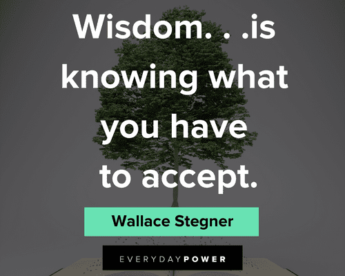 self acceptance quotes about wisdom