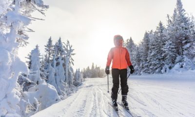 Ski Quotes to Enhance the Thrill