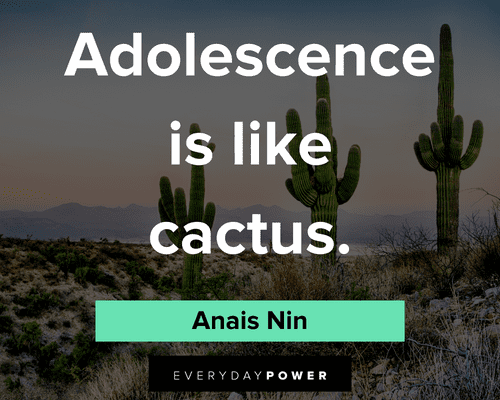 cactus quotes on Adolescence is like cactus