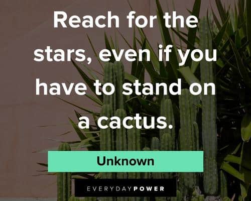 funny cactus quotes