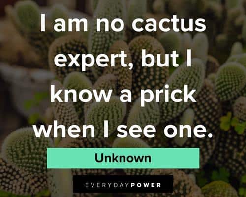 cactus quotes about cactus expert
