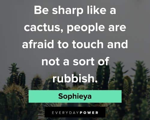 cactus quotes about be sharp like a cactus