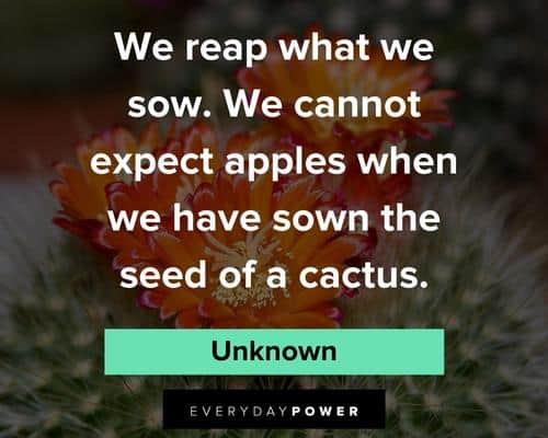 cactus quotes about life