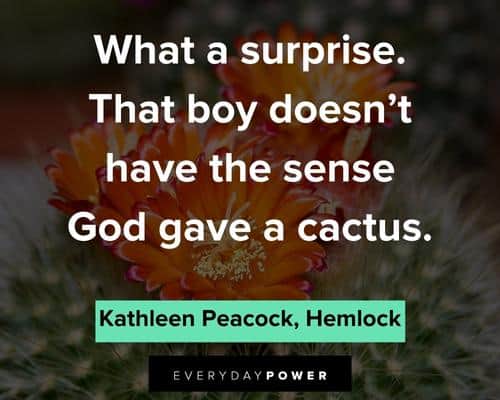 cactus quotes about what a surprise