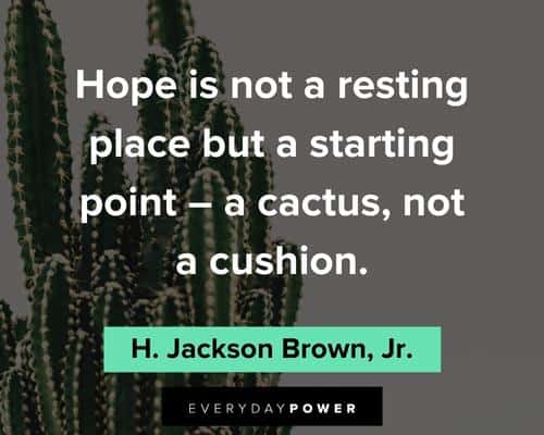 cactus quotes about hope is not resting place but s starting point