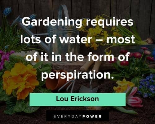 cactus quotes on gardening requires lots of water
