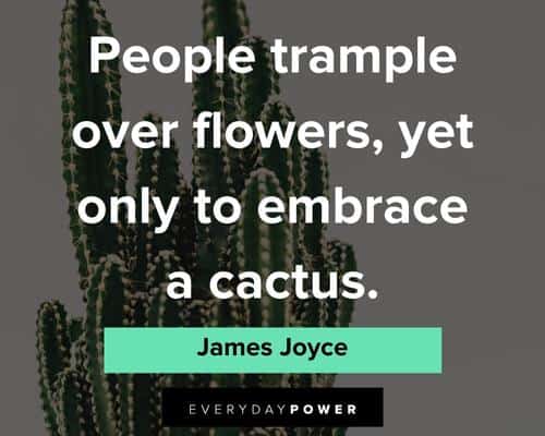 cactus quotes about people trample over flowers, yet only to embrace a cactus