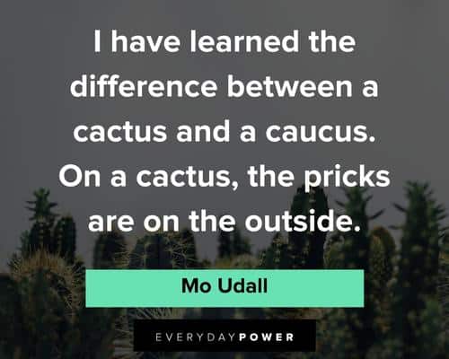 cactus quotes about the difference between a cactus and a caucus