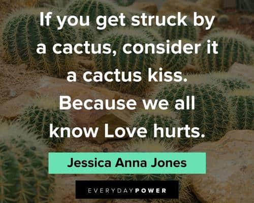 cactus quotes about love hurts