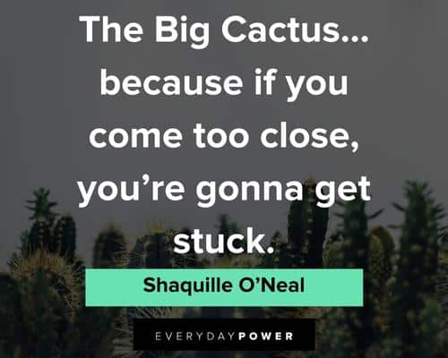 Cute cactus quotes about love 