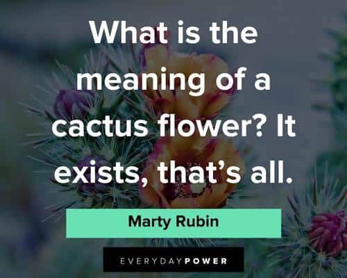cactus quotes about what is the meaning of a cactus flower