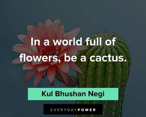 cactus quotes about in a world full of flowers, be a cactus