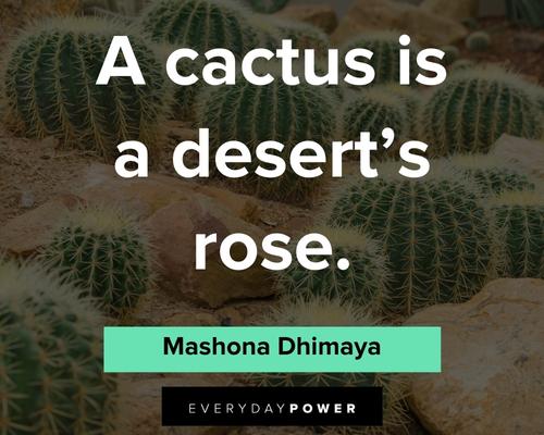 cactus quotes to remind you of your strength and beauty