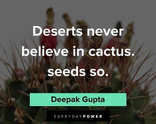 cactus quotes on deserts never believe in cactus seeds so