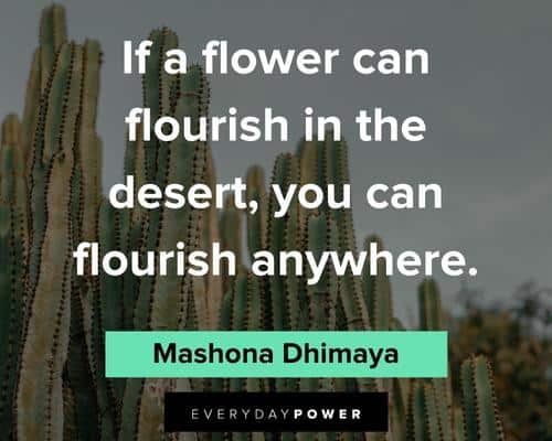cactus quotes about in a flower can flurish in the desert, you can flourish anywhere