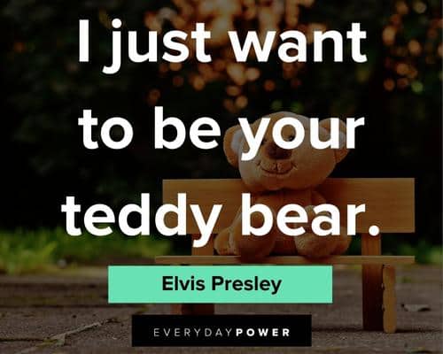 cuddle quotes about I just want to be your teddy bear