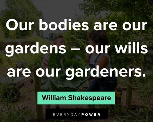 wellness quotes about our bodies are our gardens