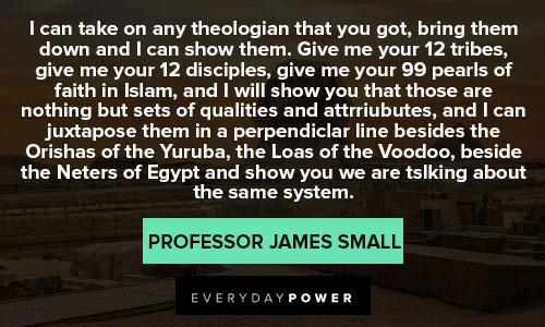 Africa quotes from Professor James Small