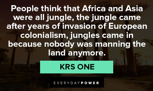 History of Africa quotes and more