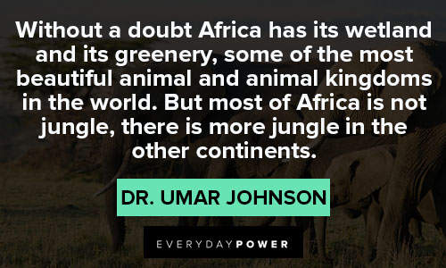 Wise Africa quotes 