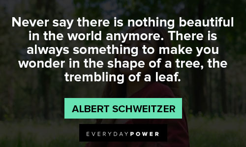 Albert Schweitzer quotes of beautiful 