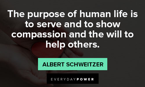 Albert Schweitzer quotes of human life