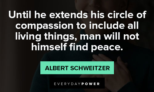 Albert Schweitzer quotes about peace