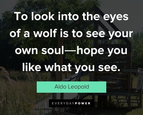 Special Aldo Leopold quotes