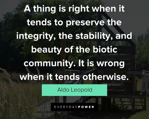Aldo Leopold quotes to motivate you