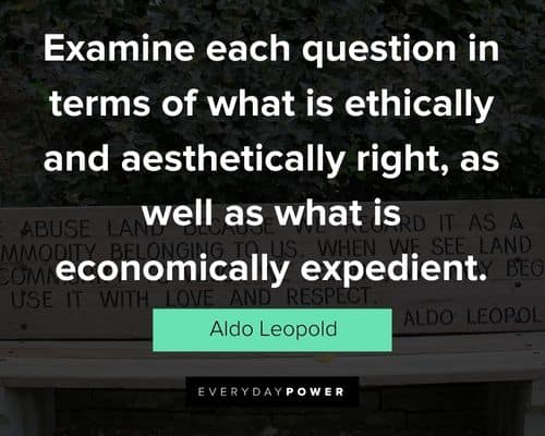 Aldo Leopold quotes that will encourage you
