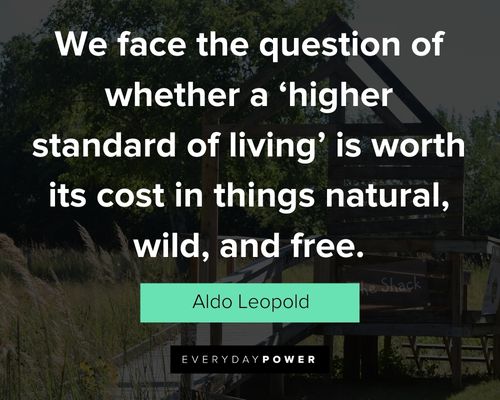 More Aldo Leopold quotes