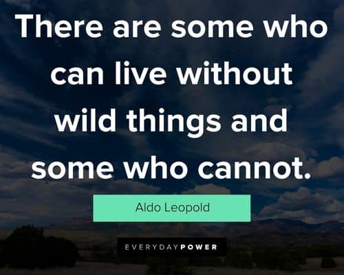 Unique Aldo Leopold quotes