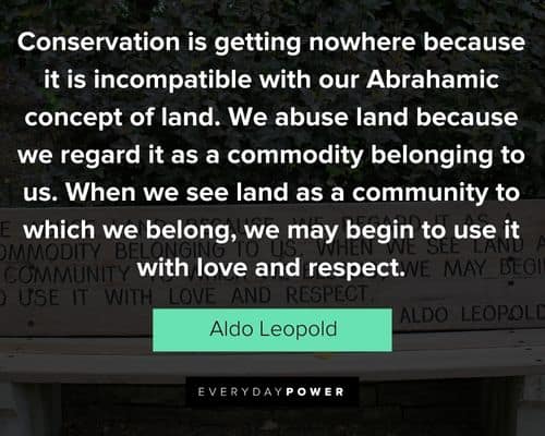 Aldo Leopold quotes about conservation and education