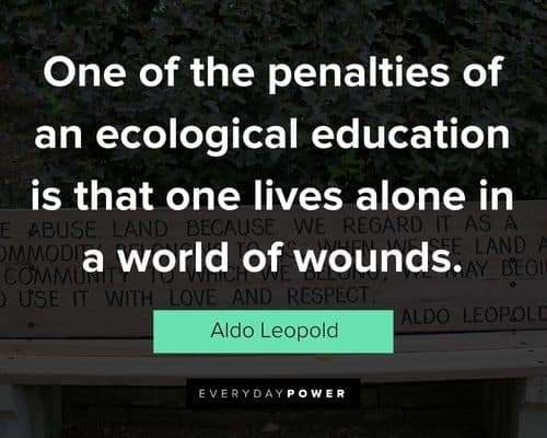 Relatable Aldo Leopold quotes