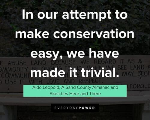 Favorite Aldo Leopold quotes