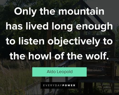 Best Aldo Leopold quotes